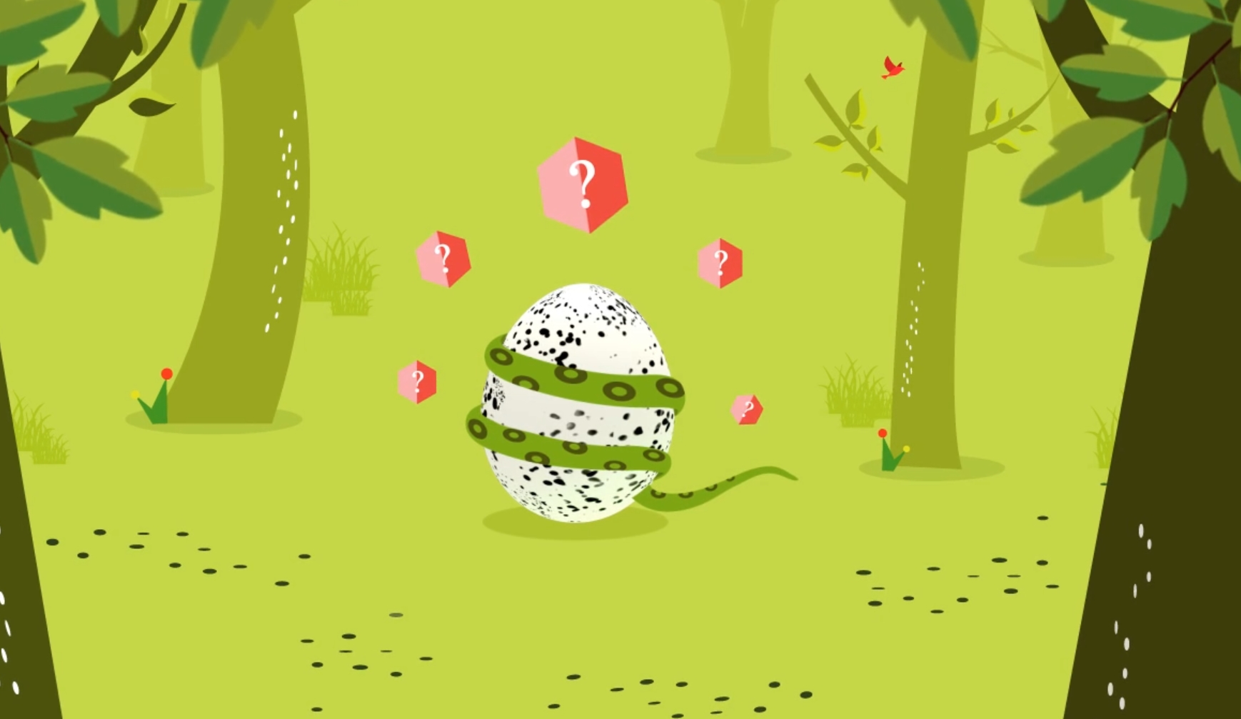 [양서파충류] 인포그래픽·영상 전시디자인