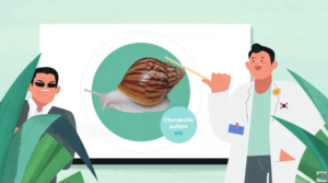 수출 바우처로 제작한 영상_특종! 달팽이 연구 회사의 성공비결